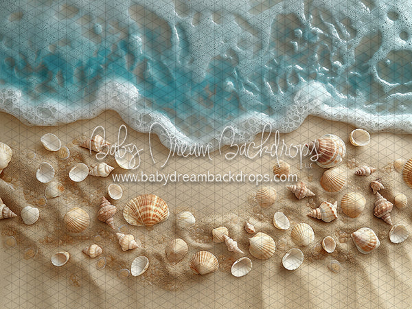 Itty Bitty Sweet Baby Beach Babe Shells (CC)