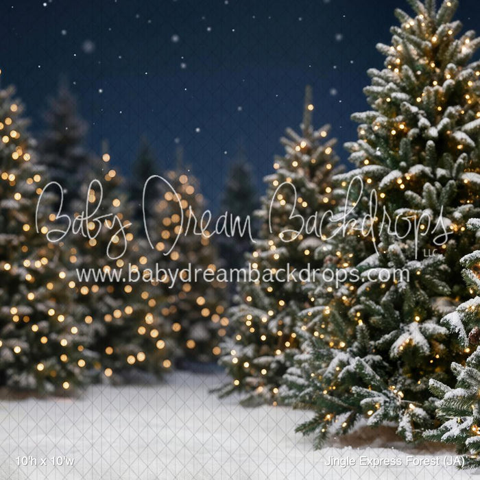 Jingle Express Forest (JA)