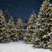 Jingle Express Forest (JA)