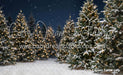 Jingle Express Forest (JA)