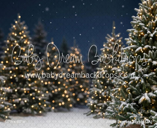 Jingle Express Forest (JA)