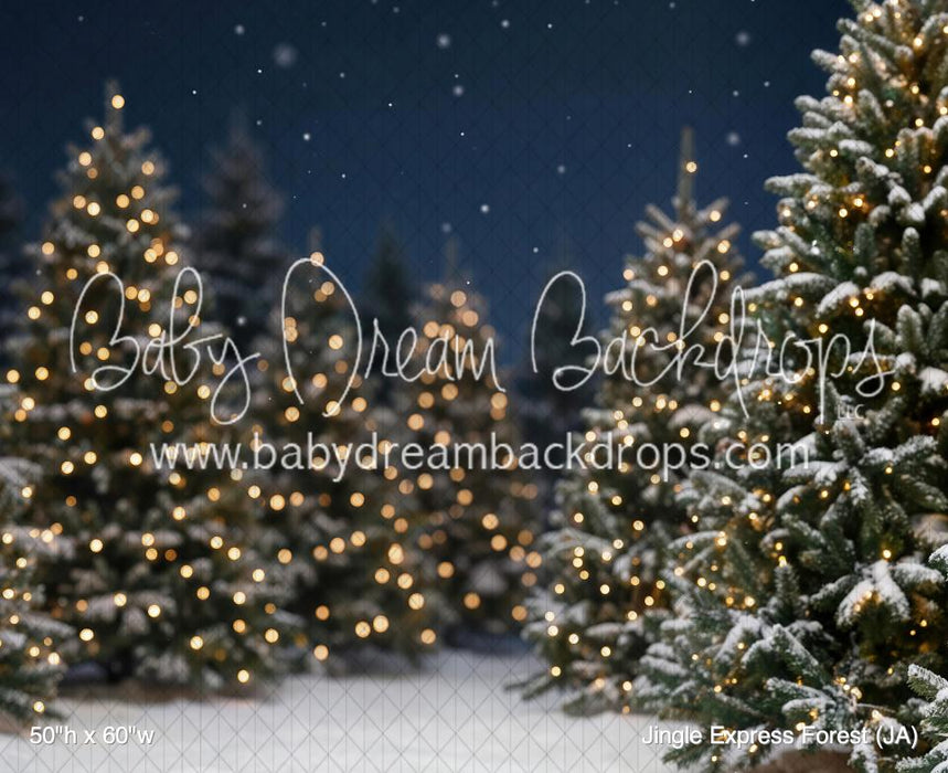 Jingle Express Forest (JA)