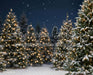 Jingle Express Forest (JA)