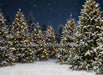 Jingle Express Forest (JA)