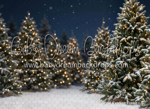 Jingle Express Forest (JA)
