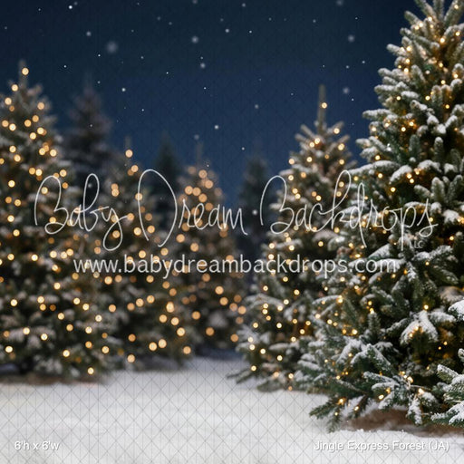 Jingle Express Forest (JA)