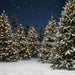 Jingle Express Forest (JA)