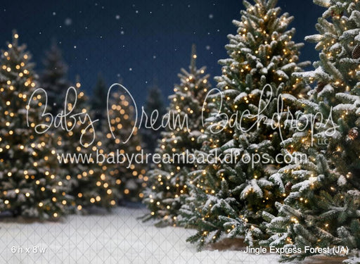 Jingle Express Forest (JA)