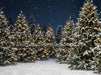 Jingle Express Forest (JA)