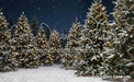 Jingle Express Forest (JA)