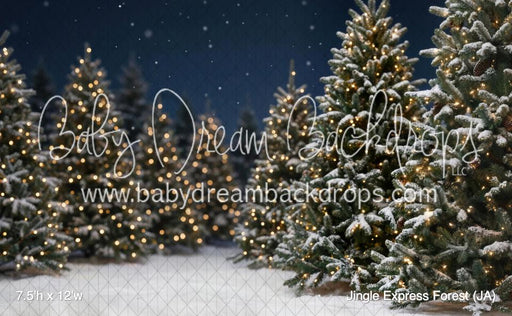 Jingle Express Forest (JA)