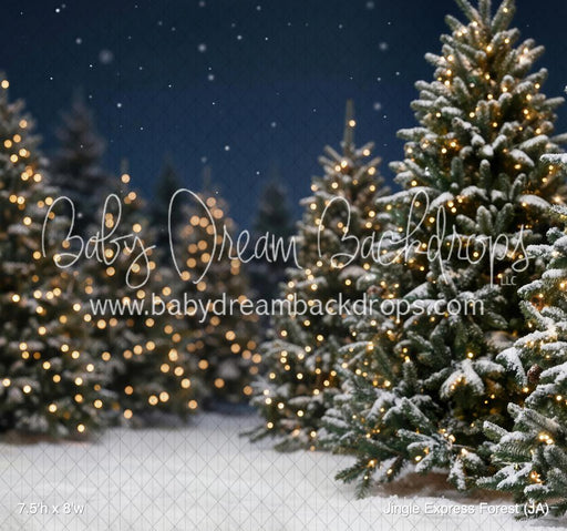 Jingle Express Forest (JA)