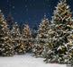 Jingle Express Forest (JA)
