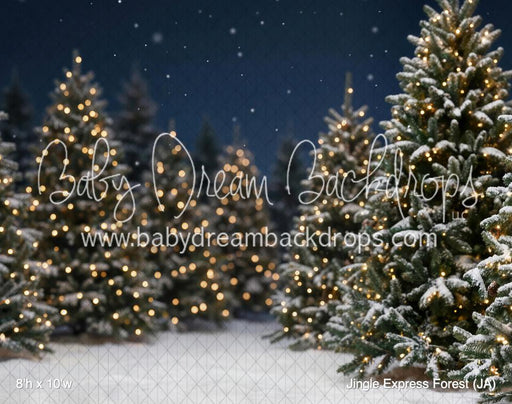 Jingle Express Forest (JA)