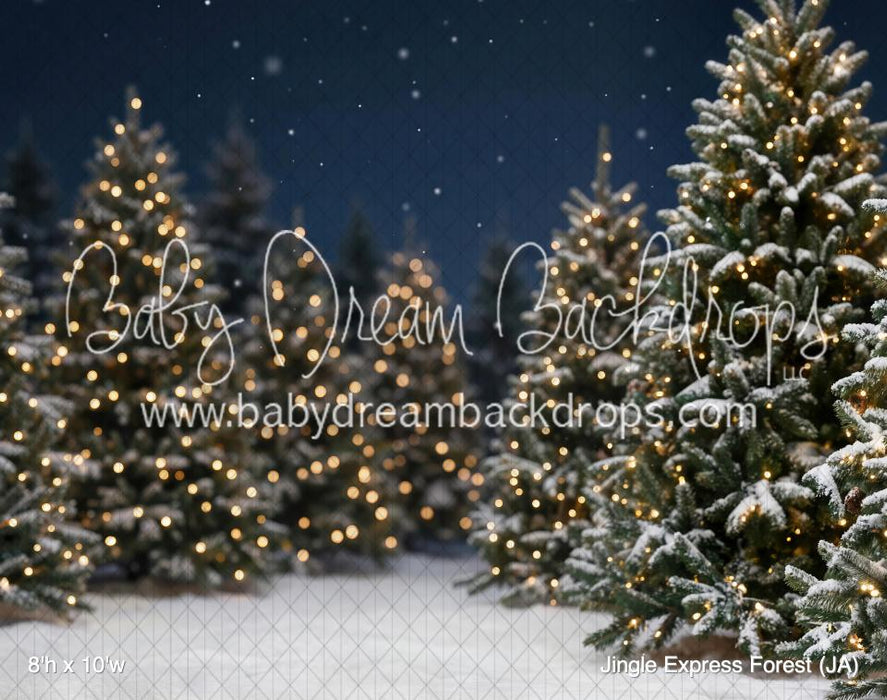 Jingle Express Forest (JA)