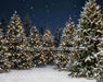 Jingle Express Forest (JA)