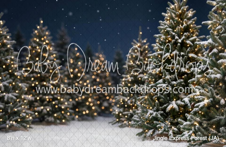 Jingle Express Forest (JA)