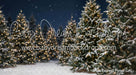Jingle Express Forest (JA)