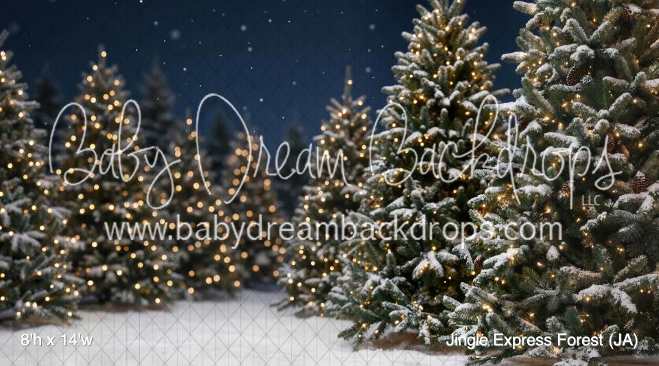 Jingle Express Forest (JA)