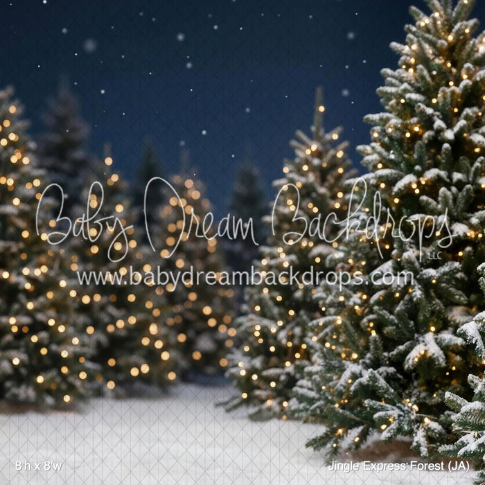 Jingle Express Forest (JA)