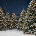 Jingle Express Forest (JA)