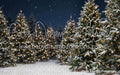 Jingle Express Forest (JA)