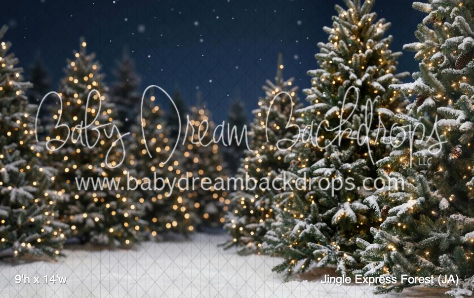 Jingle Express Forest (JA)