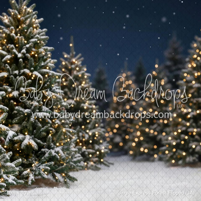 Jingle Express Forest Flipped (JA)