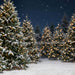 Jingle Express Forest Flipped (JA)