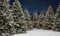 Jingle Express Forest Flipped (JA)