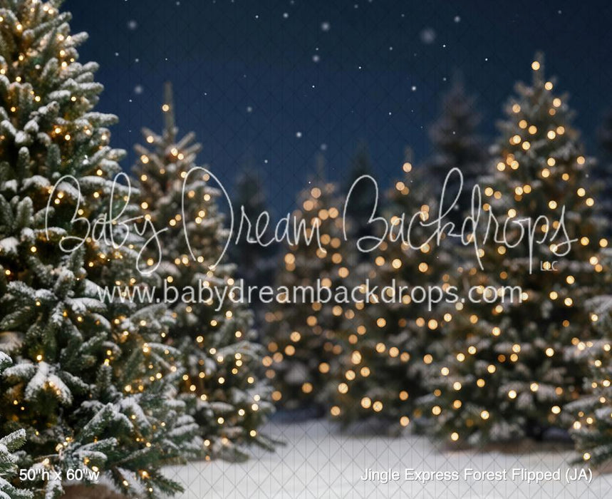 Jingle Express Forest Flipped (JA)