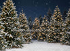 Jingle Express Forest Flipped (JA)