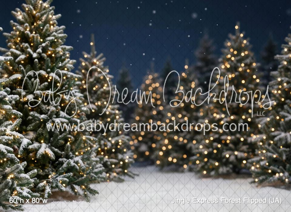 Jingle Express Forest Flipped (JA)