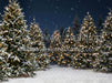 Jingle Express Forest Flipped (JA)