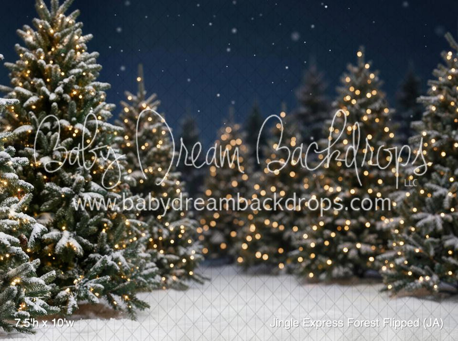 Jingle Express Forest Flipped (JA)