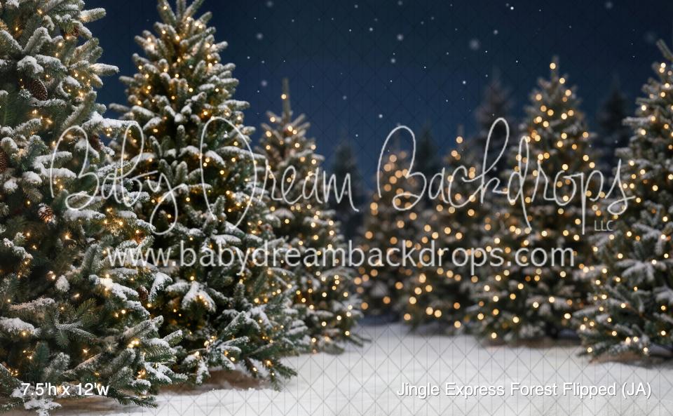 Jingle Express Forest Flipped (JA)