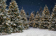 Jingle Express Forest Flipped (JA)