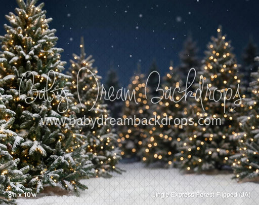 Jingle Express Forest Flipped (JA)