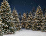 Jingle Express Forest Flipped (JA)