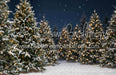 Jingle Express Forest Flipped (JA)