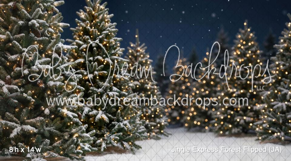 Jingle Express Forest Flipped (JA)