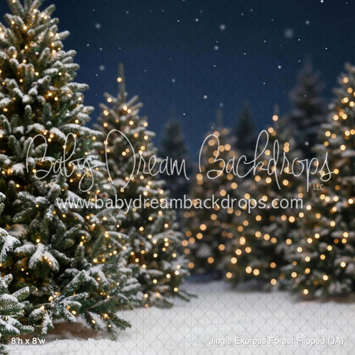 Jingle Express Forest Flipped (JA)