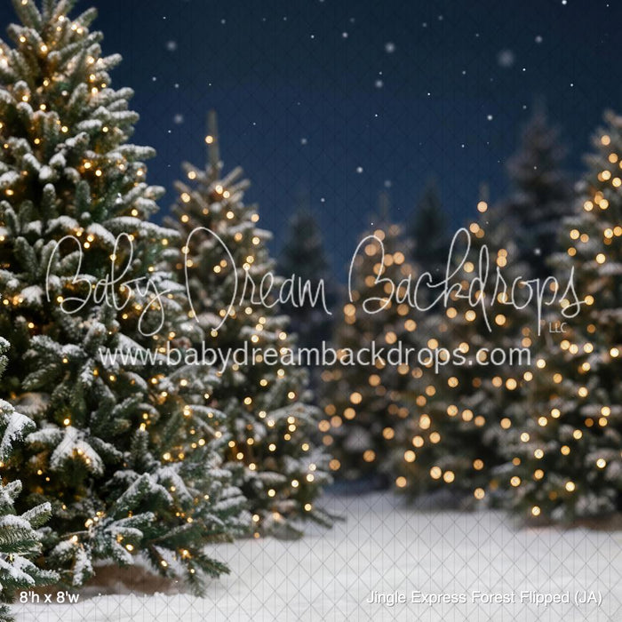 Jingle Express Forest Flipped (JA)