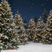 Jingle Express Forest Flipped (JA)