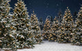Jingle Express Forest Flipped (JA)