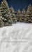Jingle Express Forest Flipped Sweeps (JA)