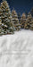 Jingle Express Forest Flipped Sweeps (JA)