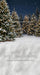 Jingle Express Forest Flipped Sweeps (JA)