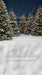 Jingle Express Forest Flipped Sweeps (JA)