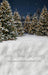 Jingle Express Forest Flipped Sweeps (JA)
